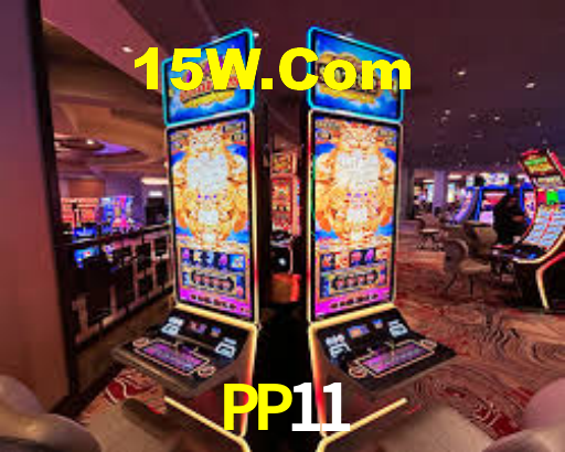 PP11 Login
