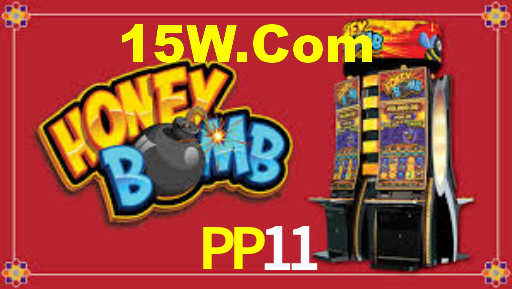 PP11
