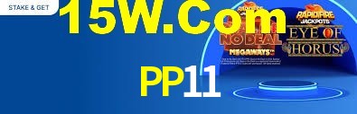 PP11,PP11 App